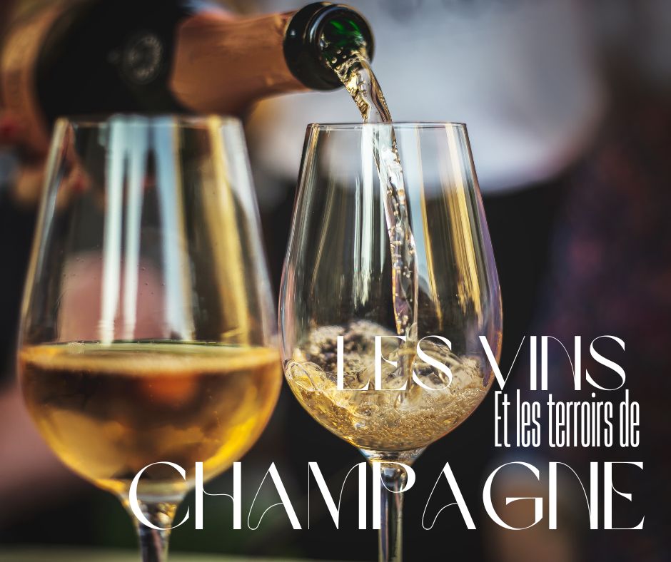 Les vins et les terroirs de champagne