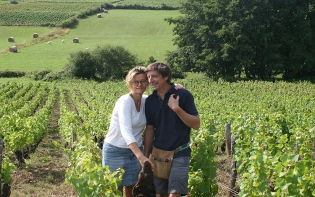 Interview Domaine de la luolle