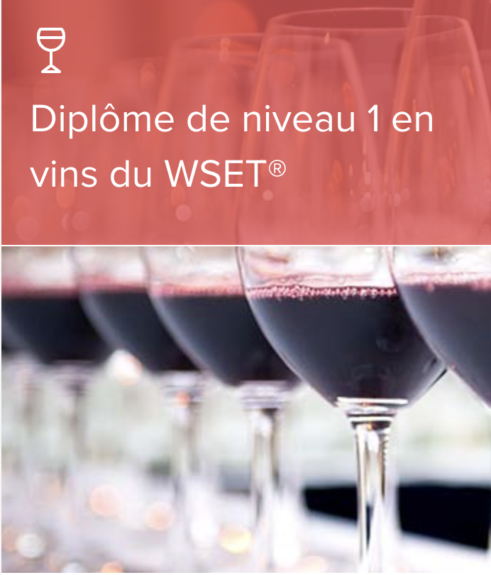 Diplôme de niveau 1 en vins du WSET®