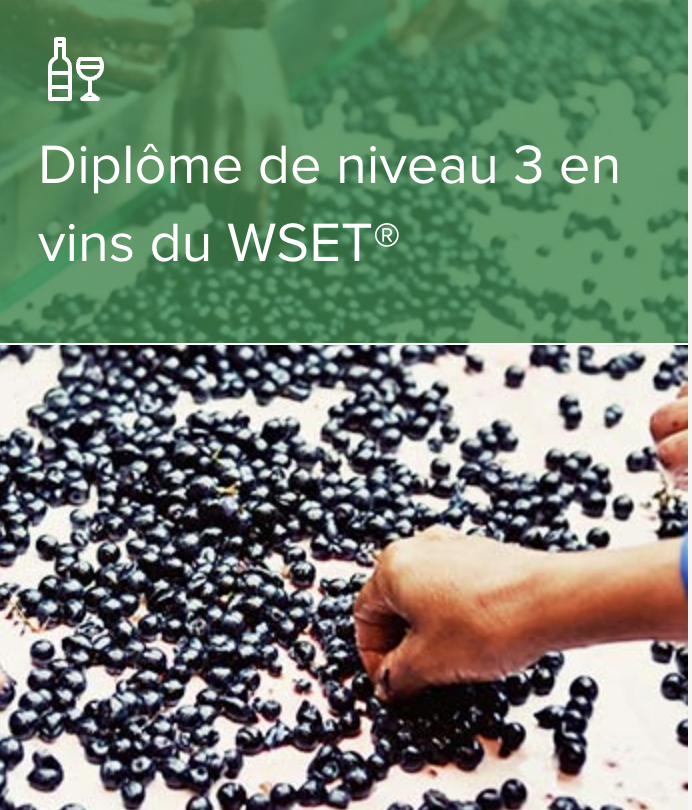 Diplôme de niveau 3 en vins du WSET®