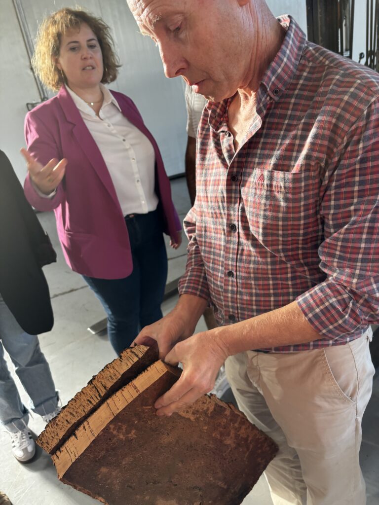 Manuel nous présente la différence de qualité: En bas les bouchons naturels hauts de Gamme, au dessus, l'ecorce servira à la production de bouchons techniques