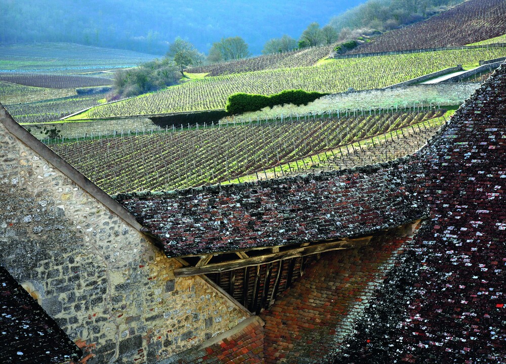 Les climats de Bourgogne, vue du Clos Vougeot depuis les toits du Château de Vougeot