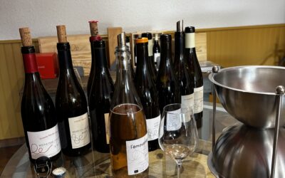 Domaine Philippe Gilbert – Visite et Dégustation à Menetou-Salon